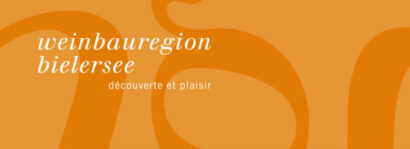 10247_BSWLogo.orange.gross_